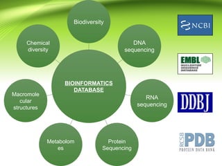 BIOINFORMATICS
DATABASE
Biodiversity
DNA
sequencing
RNA
sequencing
Protein
Sequencing
Metabolom
es
Macromole
cular
structures
Chemical
diversity
 