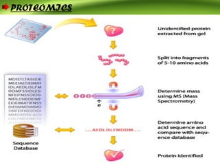 PROTEOMICS
 