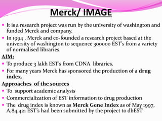 Bioinformatics | PPTX