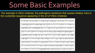 Some Basic Examples
Our example is Vibrio cholerae, the pathogenic bacterium that causes cholera; here is
the nucleotide sequence appearing in the ori of Vibrio cholerae:
 