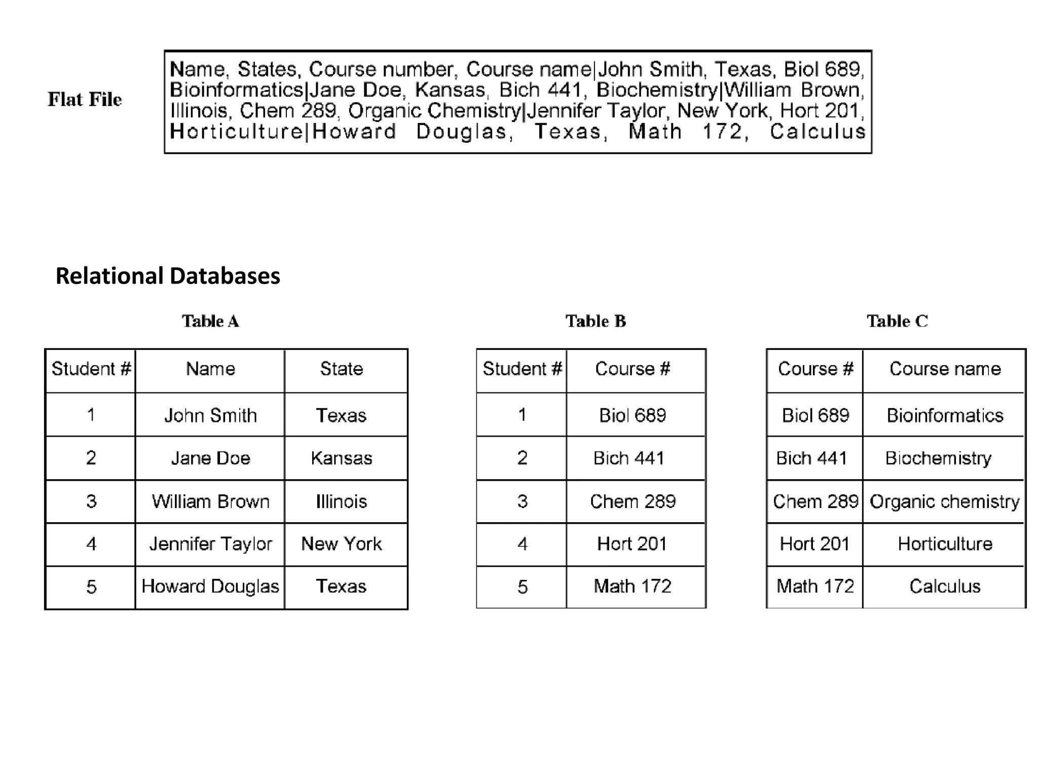 Relational Databases
 