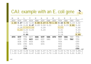 115
CAI: example with an E. coli gene
M A L T K A E M S E Y L …
ATG GCG CTT ACA AAA GCT GAA ATG TCA GAA TAT CTG
1.00 0.47 0.02 0.45 0.80 0.47 0.79 1.00 0.43 0.79 0.19 0.02
0.06 0.02 0.47 0.20 0.06 0.21 0.32 0.21 0.81 0.02
0.28 0.04 0.04 0.28 0.03 0.04
0.20 0.03 0.05 0.20 0.01 0.03
0.01 0.04 0.01
0.89 0.18 0.89
ATG GCT TTA ACT AAA GCT GAA ATG TCT GAA TAT TTA
GCC TTG ACC AAG GCC GAG TCC GAG TAC TTG
GCA CTT ACA GCA TCA CTT
GCG CTC ACG GCG TCG CTC
CTA AGT CTA
CTG AGC CTG
1.00 0.20 0.04 0.04 0.80 0.47 0.79 1.00 0.03 0.79 0.19 0.89…
1.00 0.47 0.89 0.47 0.80 0.47 0.79 1.00 0.43 0.79 0.81 0.89
1/n
qk
pk
 