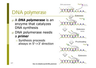 127
http://en.wikipedia.org/wiki/DNA_polymerase
DNA polymerase
p A DNA polymerase is an
enzyme that catalyzes
DNA synthesis
p DNA polymerase needs
a primer
n Synthesis proceeds
always in 5’->3’ direction
 