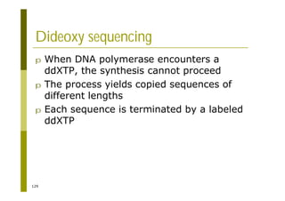 129
Dideoxy sequencing
p When DNA polymerase encounters a
ddXTP, the synthesis cannot proceed
p The process yields copied sequences of
different lengths
p Each sequence is terminated by a labeled
ddXTP
 