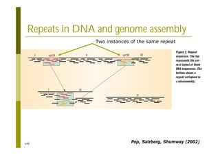 145
Repeats in DNA and genome assembly
Pop, Salzberg, Shumway (2002)
Two instances of the same repeat
 