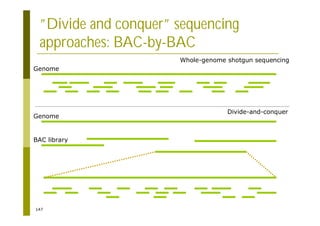 147
”Divide and conquer” sequencing
approaches: BAC-by-BAC
Whole-genome shotgun sequencing
Divide-and-conquer
Genome
Genome
BAC library
 
