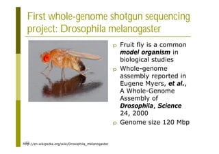 152
First whole-genome shotgun sequencing
project: Drosophila melanogaster
p Fruit fly is a common
model organism in
biological studies
p Whole-genome
assembly reported in
Eugene Myers, et al.,
A Whole-Genome
Assembly of
Drosophila, Science
24, 2000
p Genome size 120 Mbp
http://en.wikipedia.org/wiki/Drosophila_melanogaster
 