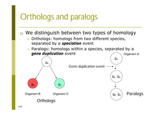 169
Orthologs and paralogs
p We distinguish between two types of homology
n Orthologs: homologs from two different species,
separated by a speciation event
n Paralogs: homologs within a species, separated by a
gene duplication event
gA
gB gC
Organism B Organism C
gA
gA gA’
gB gC
Organism A
Gene duplication event
Orthologs
Paralogs
 