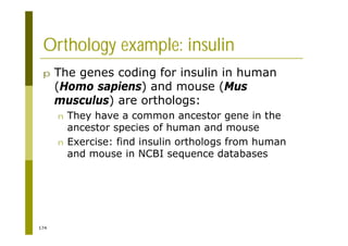 174
Orthology example: insulin
p The genes coding for insulin in human
(Homo sapiens) and mouse (Mus
musculus) are orthologs:
n They have a common ancestor gene in the
ancestor species of human and mouse
n Exercise: find insulin orthologs from human
and mouse in NCBI sequence databases
 