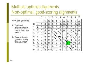 211
Multiple optimal alignments
Non-optimal, good-scoring alignments
2
4
3
2
1
0
0
2
4
2
0
G
8
1
3
5
4
3
0
0
0
2
2
0
G
7
3
2
4
6
5
1
0
0
0
0
0
A
6
3
1
1
3
4
3
2
0
0
0
0
A
5
2
1
2
0
1
2
4
0
0
0
0
T
4
1
3
0
0
1
2
1
2
0
0
0
C
3
0
2
1
1
0
2
0
2
0
0
0
C
2
2
0
0
2
2
0
0
0
0
0
0
A
1
0
0
0
0
0
0
0
0
0
0
0
-
0
A
C
T
A
A
C
T
C
G
G
-
10
9
8
7
6
5
4
3
2
1
0
How can you find
1. Optimal
alignments if
more than one
exist?
2. Non-optimal,
good-scoring
alignments?
 
