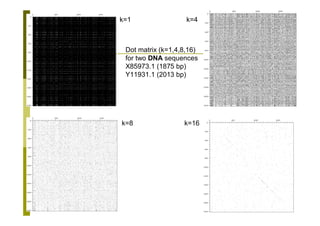 239
k=1 k=4
k=8 k=16
Dot matrix (k=1,4,8,16)
for two DNA sequences
X85973.1 (1875 bp)
Y11931.1 (2013 bp)
 