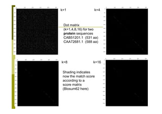 240
k=1 k=4
k=8 k=16
Dot matrix
(k=1,4,8,16) for two
protein sequences
CAB51201.1 (531 aa)
CAA72681.1 (588 aa)
Shading indicates
now the match score
according to a
score matrix
(Blosum62 here)
 