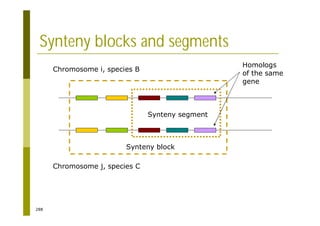 288
Synteny blocks and segments
Chromosome i, species B
Chromosome j, species C
Synteny segment
Synteny block
Homologs
of the same
gene
 