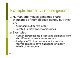 296
Example: human vs mouse genome
p Human and mouse genomes share
thousands of homologous genes, but they
are
n Arranged in different order
n Located in different chromosomes
p Examples
n Human chromosome 6 contains elements from
six different mouse chromosomes
n Analysis of X chromosome indicates that
rearrangements have happened primarily
within chromosome
 