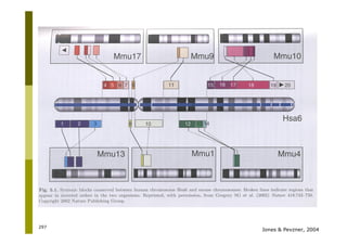 297
Jones & Pevzner, 2004
 
