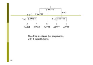 357
3
AACGT
4
AATGT
5
AATTT
2
ACATT
1
ACTTT
6 AATGT
7 AATTT
8 ACTTT
9 AATTT
T->C
T->G
T->A
A->C
This tree explains the sequences
with 4 substitutions
 