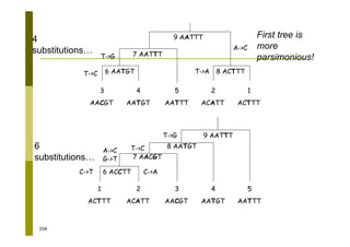 358
3
AACGT
4
AATGT
5
AATTT
2
ACATT
1
ACTTT
6 AATGT
7 AATTT
8 ACTTT
9 AATTT
T->C
T->G
T->A
A->C
3
AACGT
4
AATGT
5
AATTT
2
ACATT
1
ACTTT
6 ACCTT
C->T
7 AACGT
8 AATGT
9 AATTT
G->T
T->C
T->G
A->C
C->A
6
substitutions…
First tree is
more
parsimonious!
4
substitutions…
 