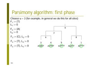 362
Parsimony algorithm: first phase
3
AACGT
4
AATGT
5
AATTT
2
ACATT
1
ACTTT
Choose u = 3 (for example, in general we do this for all sites)
F1 := {T}
L1 := 0
F2 := {A}
L2 := 0
F3 := {C}, L3 := 0
F4 := {T}, L4 := 0
F5 := {T}, L5 := 0
6
7
8
9
 