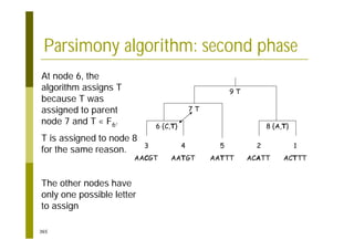 365
Parsimony algorithm: second phase
3
AACGT
4
AATGT
5
AATTT
2
ACATT
1
ACTTT
6 {C,T}
7 T
8 {A,T}
9 T
At node 6, the
algorithm assigns T
because T was
assigned to parent
node 7 and T F6.
T is assigned to node 8
for the same reason.
The other nodes have
only one possible letter
to assign
 