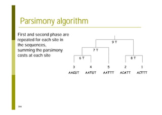 366
Parsimony algorithm
3
AACGT
4
AATGT
5
AATTT
2
ACATT
1
ACTTT
6 T
7 T
8 T
9 T
First and second phase are
repeated for each site in
the sequences,
summing the parsimony
costs at each site
 