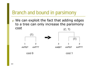 369
Branch and bound in parsimony
p We can exploit the fact that adding edges
to a tree can only increase the parsimony
cost
1
AATGT
2
AATTT
3
AACGT
1
AATGT
2
AATTT
{T}
{T}
{C, T}
cost 0 cost 1
 