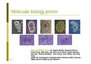 43
Molecular biology primer
Molecular Biology Primer by Angela Brooks, Raymond Brown,
Calvin Chen, Mike Daly, Hoa Dinh, Erinn Hama, Robert Hinman,
Julio Ng, Michael Sneddon, Hoa Troung, Jerry Wang, Che Fung
Yung
Edited for Introduction to Bioinformatics (Autumn 2007, Summer
2008, Autumn 2008) by Esa Pitkänen
 