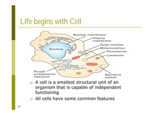 45
Life begins with Cell
p A cell is a smallest structural unit of an
organism that is capable of independent
functioning
p All cells have some common features
 