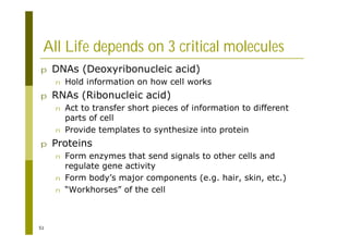 51
All Life depends on 3 critical molecules
p DNAs (Deoxyribonucleic acid)
n Hold information on how cell works
p RNAs (Ribonucleic acid)
n Act to transfer short pieces of information to different
parts of cell
n Provide templates to synthesize into protein
p Proteins
n Form enzymes that send signals to other cells and
regulate gene activity
n Form body’s major components (e.g. hair, skin, etc.)
n “Workhorses” of the cell
 