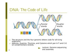 52
DNA: The Code of Life
p The structure and the four genomic letters code for all living
organisms
p Adenine, Guanine, Thymine, and Cytosine which pair A-T and C-G
on complimentary strands.
Lecture: Genome sequencing
and assembly
 