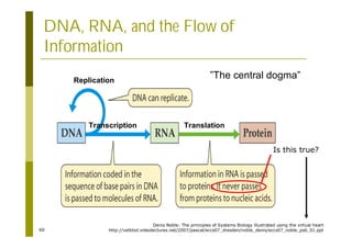 60
DNA, RNA, and the Flow of
Information
Translation
Transcription
Replication
”The central dogma”
Is this true?
Denis Noble: The principles of Systems Biology illustrated using the virtual heart
http://velblod.videolectures.net/2007/pascal/eccs07_dresden/noble_denis/eccs07_noble_psb_01.ppt
 