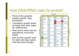 64
How DNA/RNA codes for protein?
p Three of the possible
triplets specify ”stop
translation”
p Translation usually starts
at triplet AUG (this codes
for methionine)
p Most amino acids may be
specified by more than
triplet
p How to find a gene? Look
for start and stop codons
(not that easy though)
 