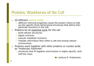 65
Proteins: Workhorses of the Cell
p 20 different amino acids
n different chemical properties cause the protein chains to fold
up into specific three-dimensional structures that define their
particular functions in the cell.
p Proteins do all essential work for the cell
n build cellular structures
n digest nutrients
n execute metabolic functions
n mediate information flow within a cell and among cellular
communities.
p Proteins work together with other proteins or nucleic acids
as "molecular machines"
n structures that fit together and function in highly specific, lock-
and-key ways.
Lecture 8: Proteomics
 