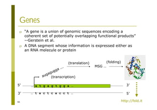 66
Genes
p “A gene is a union of genomic sequences encoding a
coherent set of potentially overlapping functional products”
--Gerstein et al.
p A DNA segment whose information is expressed either as
an RNA molecule or protein
5’ 3’
3’ 5’
… a t g a g t g g a …
… t a c t c a c c t …
augagugga ...
(transcription)
(translation)
MSG …
(folding)
http://fold.it
 