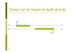 69
Genes can be found on both strands
3’
5’
5’
3’
 