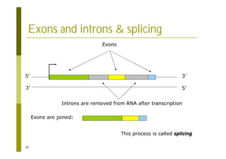 70
Exons and introns & splicing
3’
5’
5’
3’
Introns are removed from RNA after transcription
Exons
Exons are joined:
This process is called splicing
 