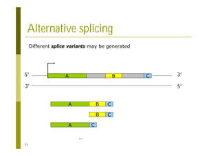 71
Alternative splicing
A 3’
5’
5’
3’
B C
Different splice variants may be generated
A B C
B C
A C
…
 