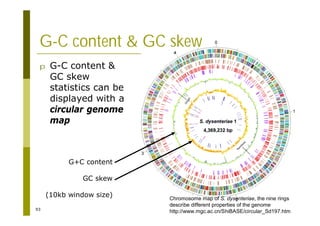 93
p G-C content &
GC skew
statistics can be
displayed with a
circular genome
map
Chromosome map of S. dysenteriae, the nine rings
describe different properties of the genome
http://www.mgc.ac.cn/ShiBASE/circular_Sd197.htm
G-C content & GC skew
G+C content
GC skew
(10kb window size)
 