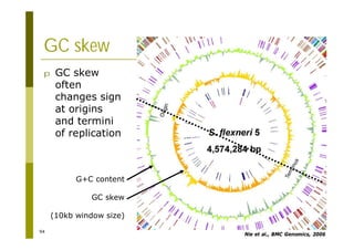 94
GC skew
p GC skew
often
changes sign
at origins
and termini
of replication
G+C content
GC skew
(10kb window size)
Nie et al., BMC Genomics, 2006
 