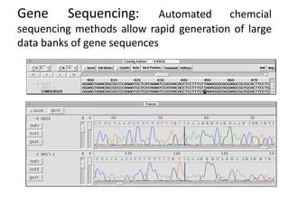Gene Sequencing: Automated chemcial
sequencing methods allow rapid generation of large
data banks of gene sequences
 