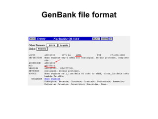 GenBank file format
 