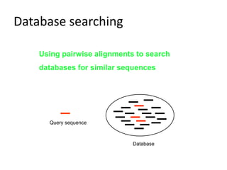 Database searching
Using pairwise alignments to search
databases for similar sequences
Database
Query sequence
 