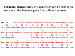 Sequence comparison:Gene sequences can be aligned to
see similarities between gene from different sources
768 TT....TGTGTGCATTTAAGGGTGATAGTGTATTTGCTCTTTAAGAGCTG 813
|| || || | | ||| | |||| ||||| ||| |||
87 TTGACAGGTACCCAACTGTGTGTGCTGATGTA.TTGCTGGCCAAGGACTG 135
. . . . .
814 AGTGTTTGAGCCTCTGTTTGTGTGTAATTGAGTGTGCATGTGTGGGAGTG 863
| | | | |||||| | |||| | || | |
136 AAGGATC.............TCAGTAATTAATCATGCACCTATGTGGCGG 172
. . . . .
864 AAATTGTGGAATGTGTATGCTCATAGCACTGAGTGAAAATAAAAGATTGT 913
||| | ||| || || ||| | ||||||||| || |||||| |
173 AAA.TATGGGATATGCATGTCGA...CACTGAGTG..AAGGCAAGATTAT 216
 