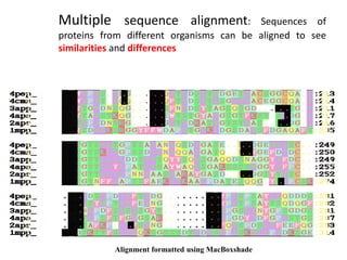 Multiple sequence alignment: Sequences of
proteins from different organisms can be aligned to see
similarities and differences
Alignment formatted using MacBoxshade
 