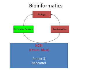 Bioinformatics
Biology
Computer Science Mathematics
NCBI
(Omim, Blast)
Primer 3
Nebcutter
 