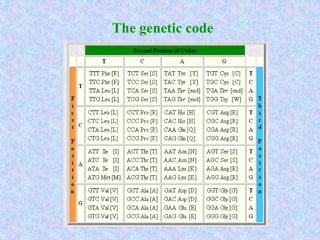 The genetic code
 