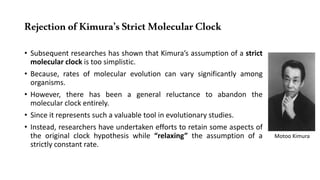 RejectionofKimura’sStrictMolecularClock
• Subsequent researches has shown that Kimura’s assumption of a strict
molecular clock is too simplistic.
• Because, rates of molecular evolution can vary significantly among
organisms.
• However, there has been a general reluctance to abandon the
molecular clock entirely.
• Since it represents such a valuable tool in evolutionary studies.
• Instead, researchers have undertaken efforts to retain some aspects of
the original clock hypothesis while “relaxing” the assumption of a
strictly constant rate.
Motoo Kimura
 