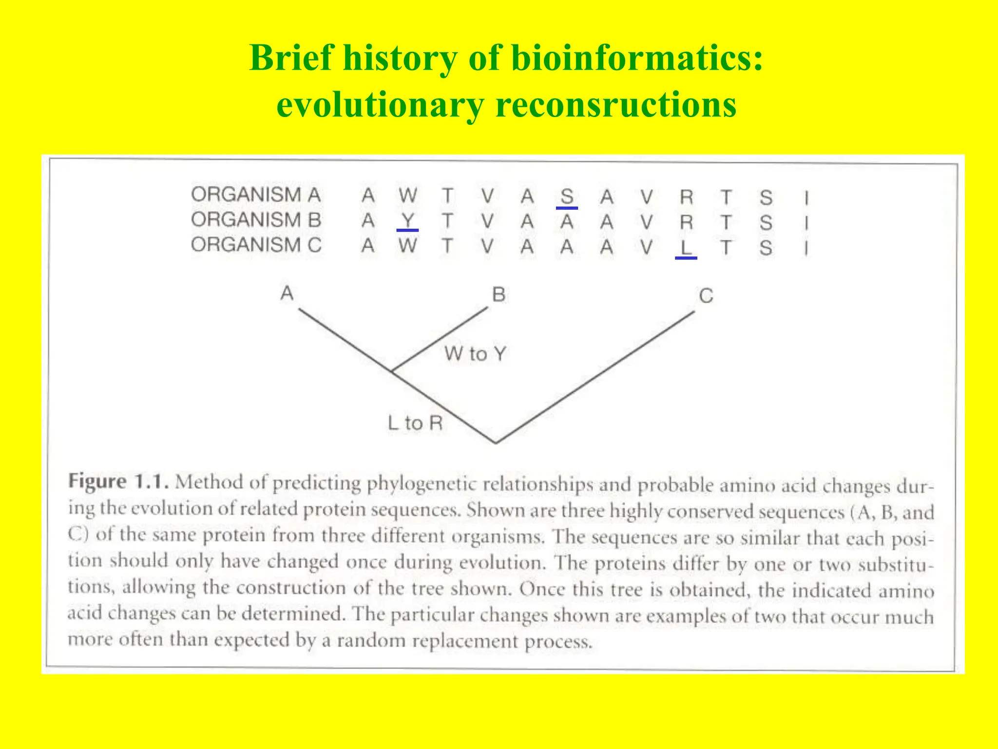 Brief history of bioinformatics:
evolutionary reconsructions
 