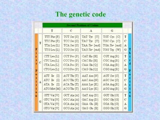 BIOINFORMATICS.ppt History and applications | PPT