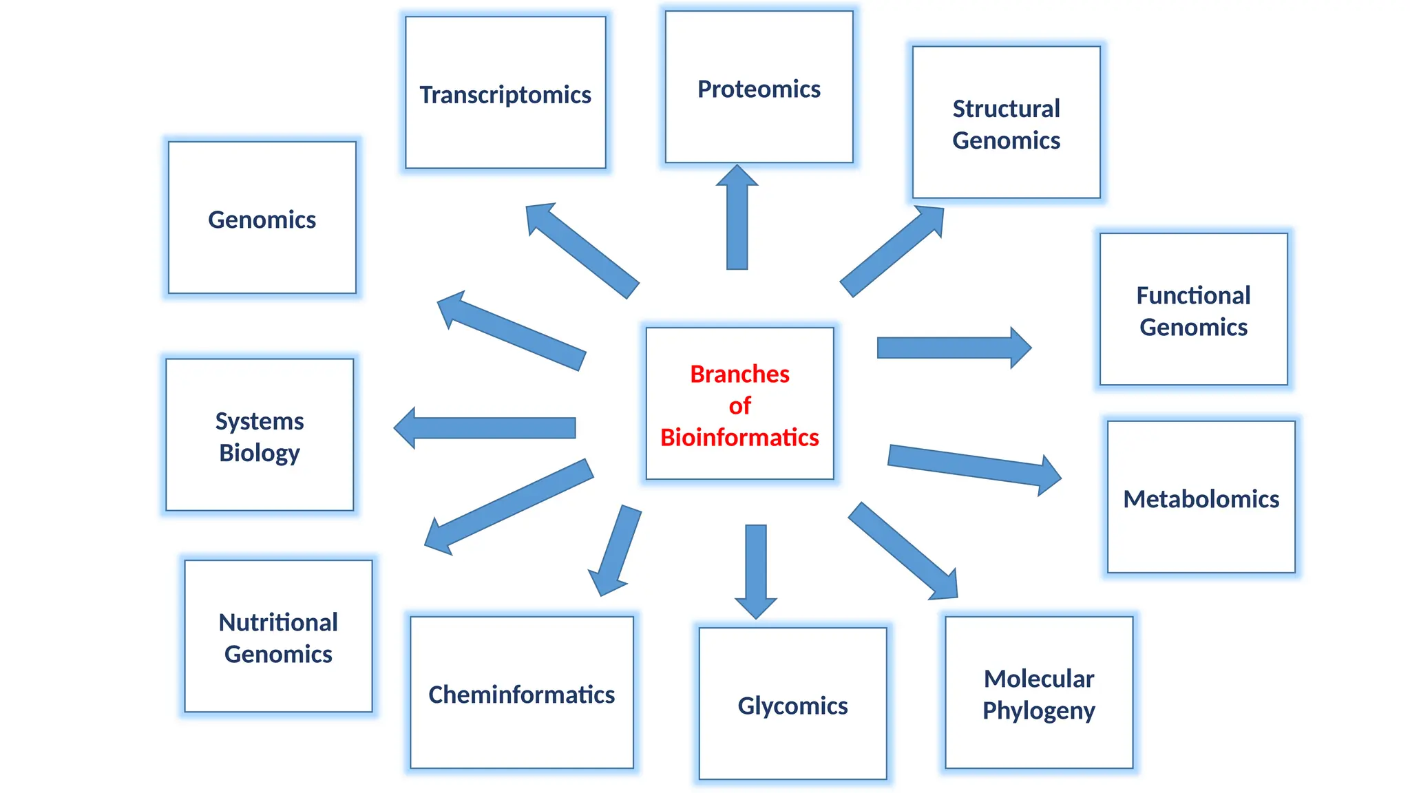 Genomics
Transcriptomics
Branches
of
Bioinformatics
Proteomics
Systems
Biology
Functional
Genomics
Metabolomics
Structural
Genomics
Nutritional
Genomics
Cheminformatics Glycomics
Molecular
Phylogeny
 