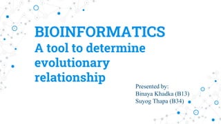 BIOINFORMATICS
A tool to determine
evolutionary
relationship
Presented by:
Binaya Khadka (B13)
Suyog Thapa (B34)
 